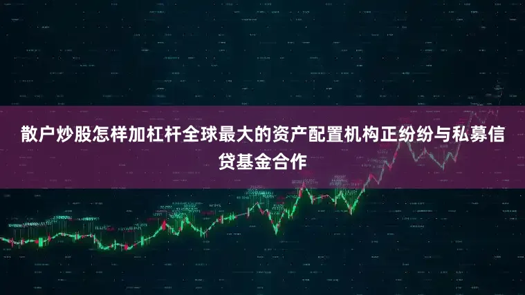 散户炒股怎样加杠杆　　全球最大的资产配置机构正纷纷与私募信贷基金合作