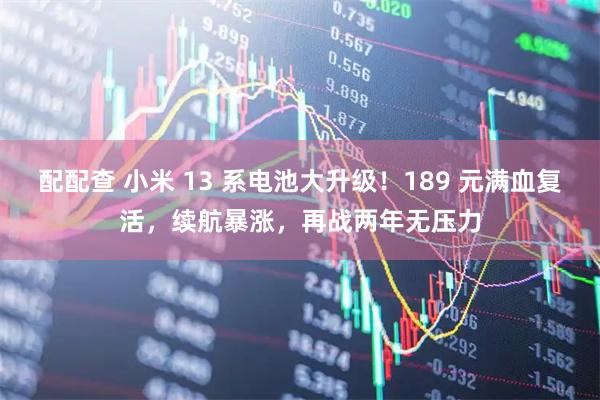 配配查 小米 13 系电池大升级！189 元满血复活，续航暴涨，再战两年无压力