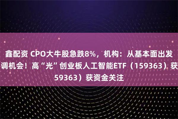 鑫配资 CPO大牛股急跌8%，机构：从基本面出发，重视回调机会！高“光”创业板人工智能ETF（159363）获资金关注
